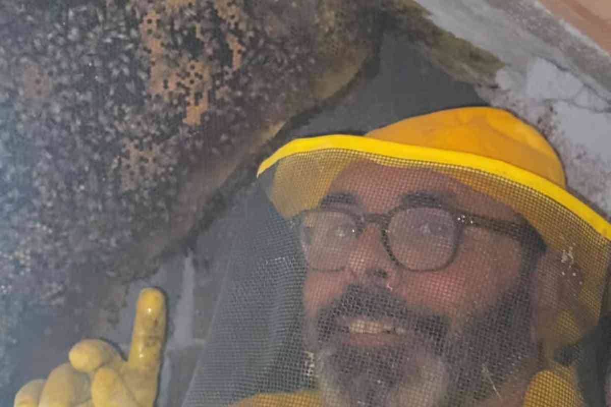 Andrea Lunerti trova un alveare di api ad Anguillara Sabazia