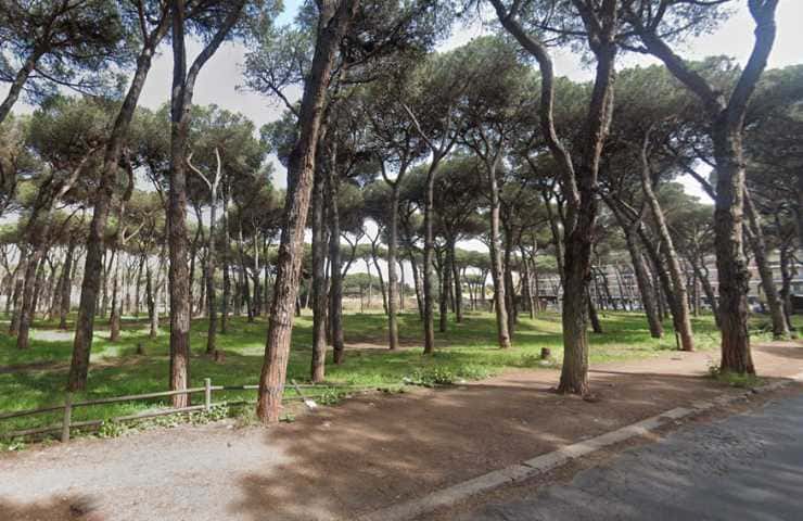 Parco Clemente Riva
