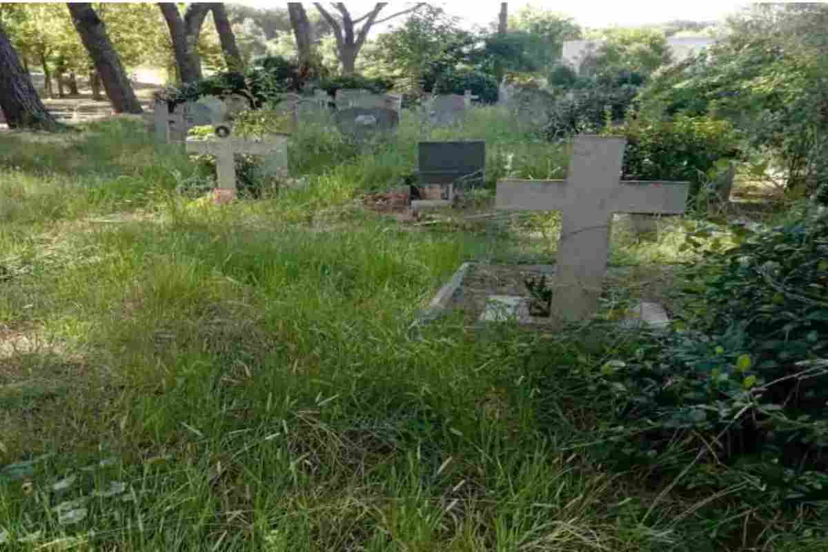 Tombe coperte dall'erba incolta al Cimitero Flaminio di Roma