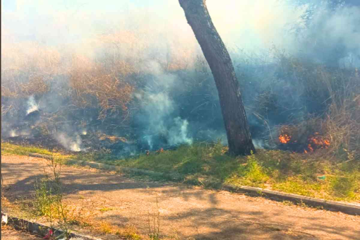 Incendio al Lotto V6 di Giardino di Roma