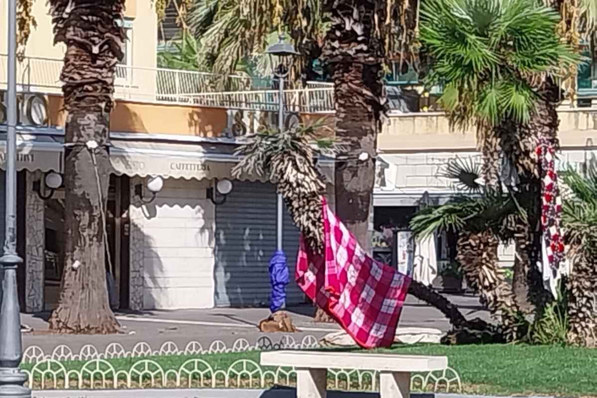 Coperte lasciate sugli alberi di Piazza Anco Marzio a Ostia