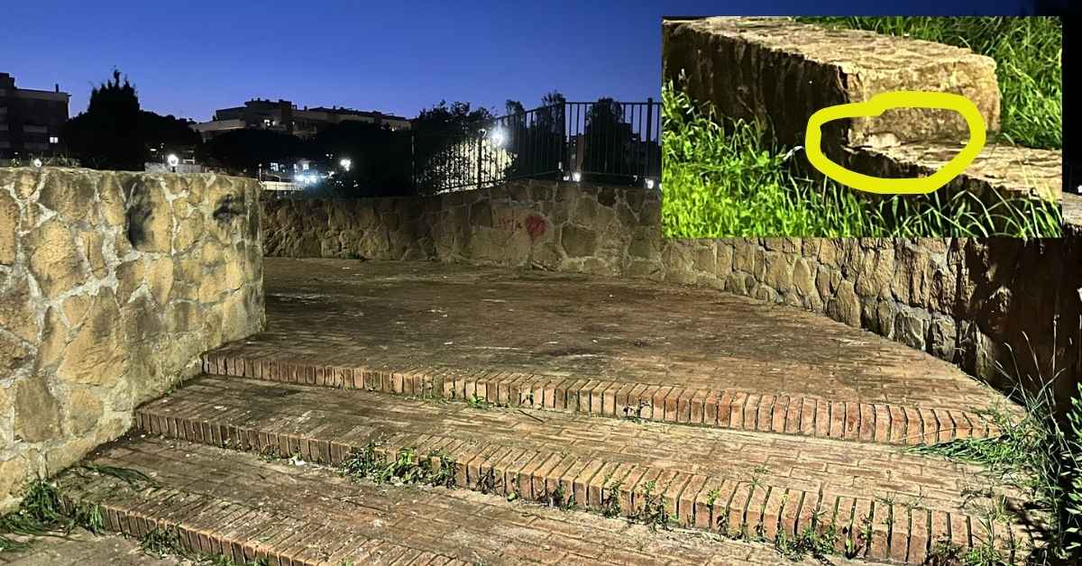 Foto di un topo al Parco Giuseppe Pallotta di Ostia