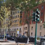 Nuovi alberi piantati a Viale Giuseppe Mazzini a Roma