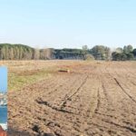 Giuseppe Conforzi nell'area arata della Pineta Acqua Rossa a Ostia