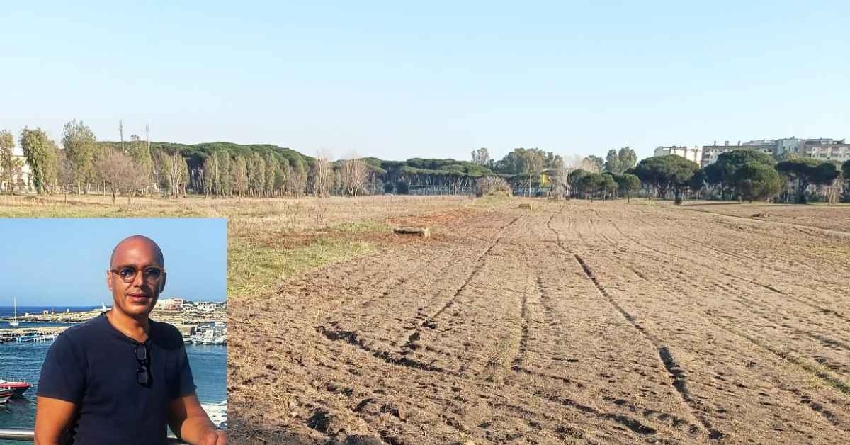 Giuseppe Conforzi nell'area arata della Pineta Acqua Rossa a Ostia