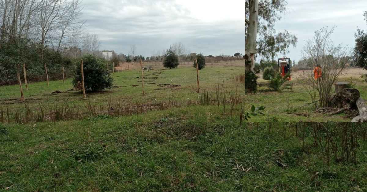 Operai al lavoro nella Pineta delle Acque Rosse