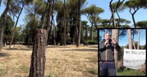 Fabrizio Santori interviene sull'abbattimento degli alberi a Roma